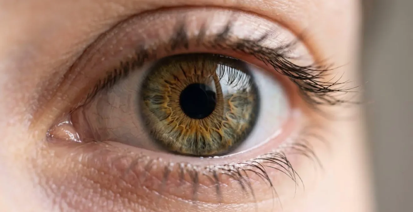 Métaphore visuelle de la passivité cérébrale face aux écrans